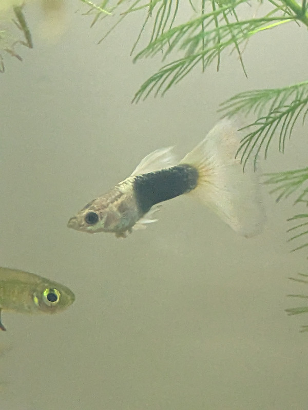 PXL_20240218_033341716