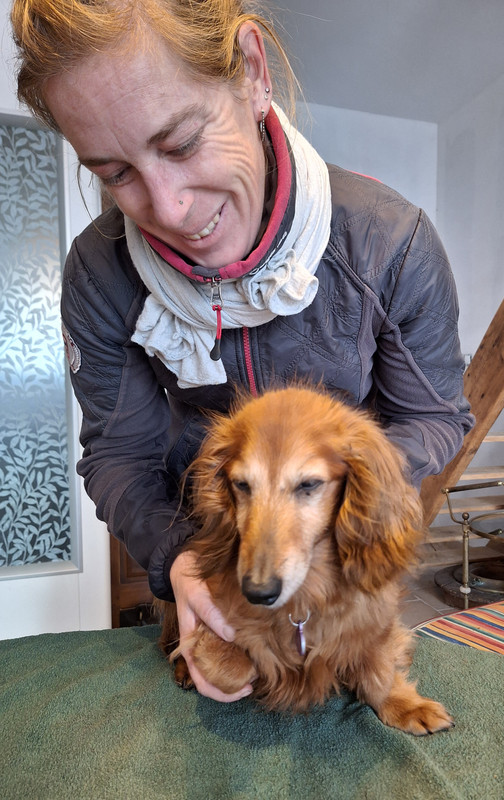 [Image: 20231129-151632.jpg]