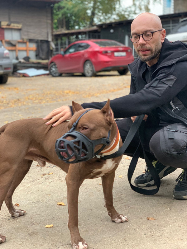 FE2C225A-5F38-4981-8557-81EE35F56606