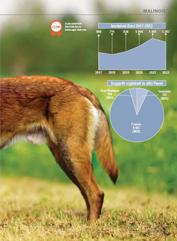Il M C Ott-Nov 2023 (2)