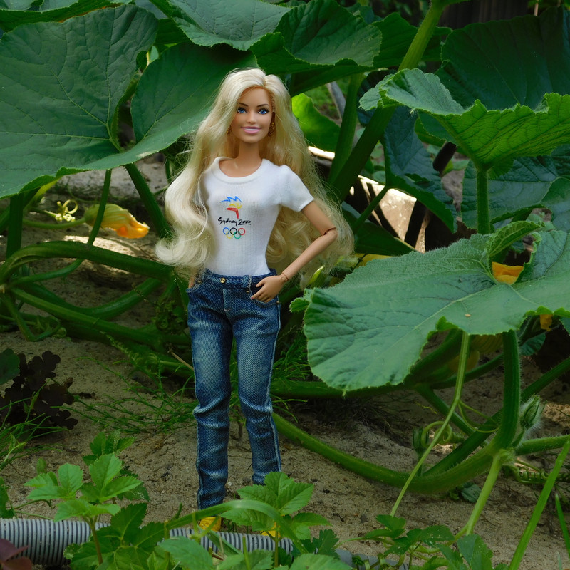 Дачно-барбейское июль, Харлинское 2-я серия 057