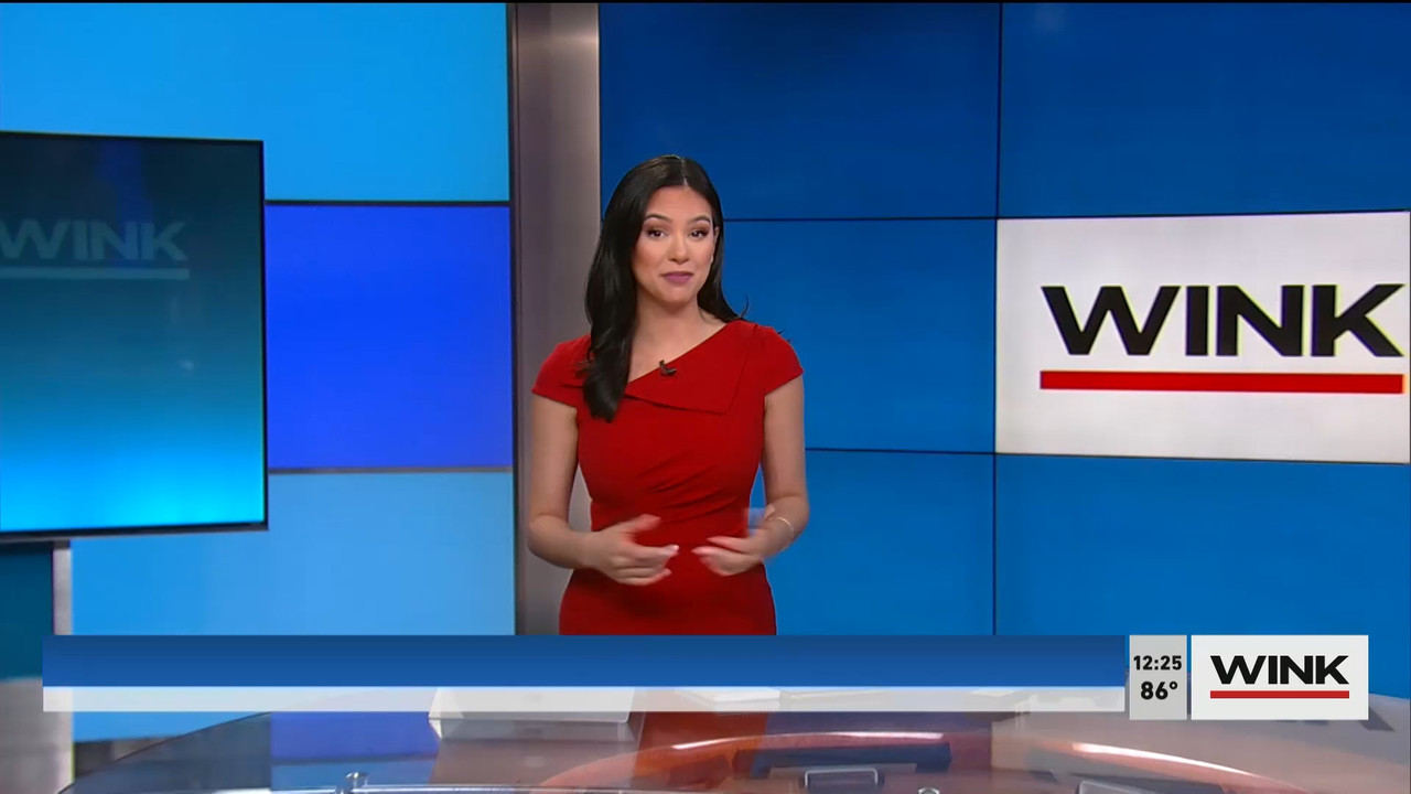The WINK Noon News 2022_03_10_17_00_00.ts_snapshot_22.39.588