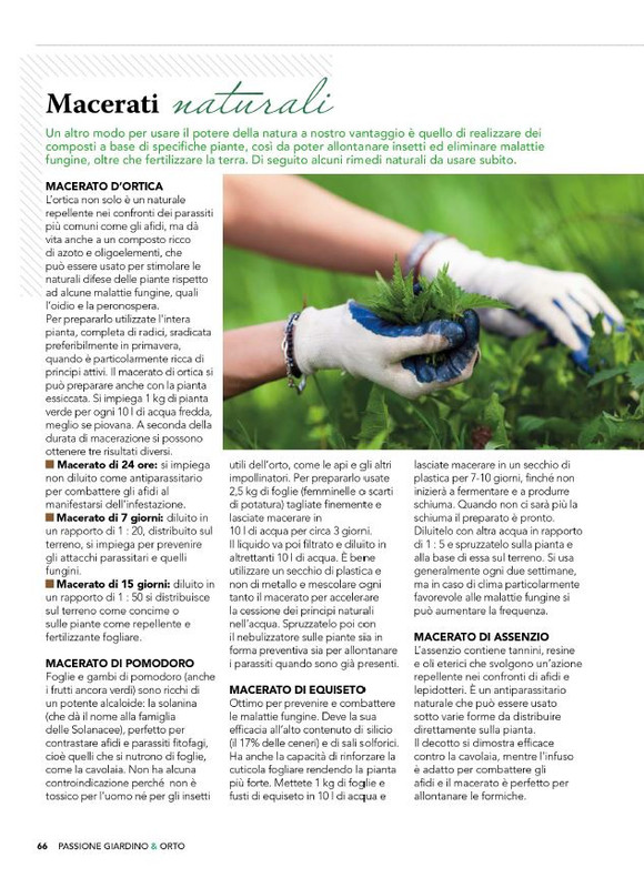 Pass Giar e Orto Apr-Mag 2025 (5)