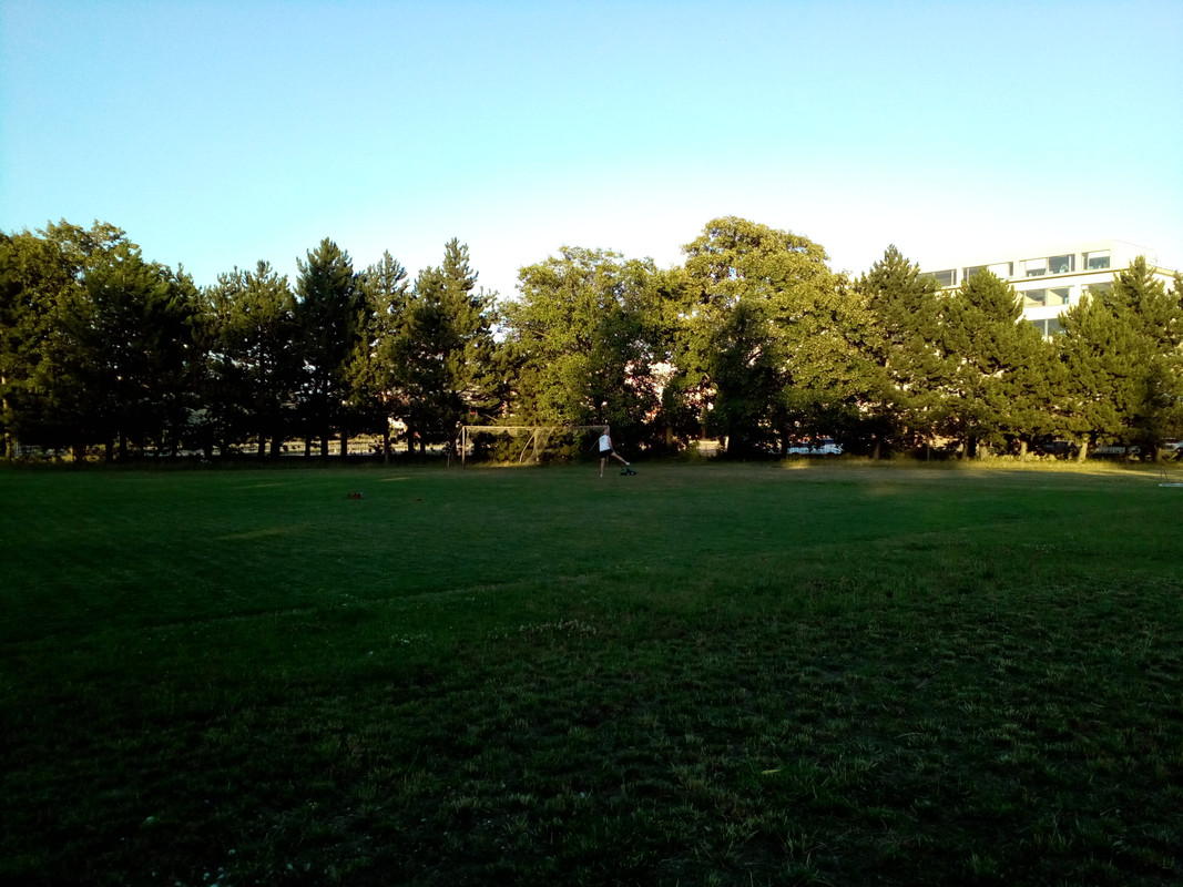 IMG-20220712-194232-572