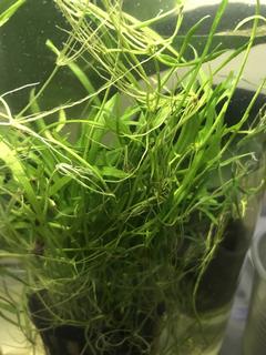 F40BFC54-21E7-4665-85E5-44A76672DEC7