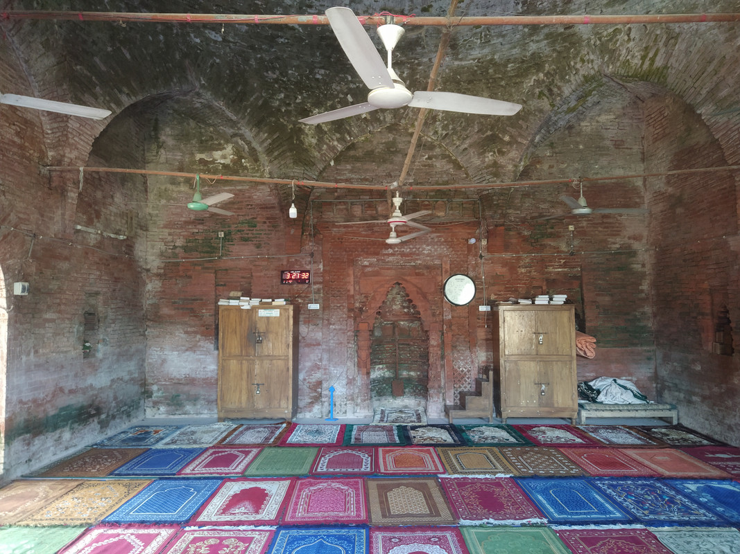 Бенгальский фьюжн с коровами на деревьях, или Бангладеш в обрамлении двух Индий