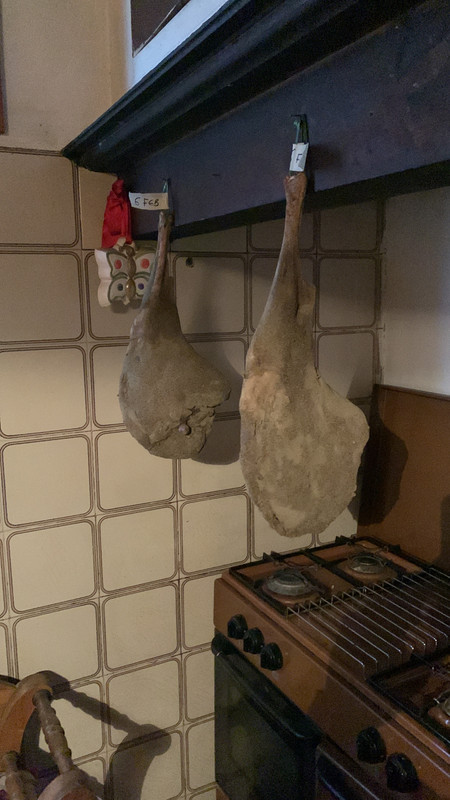 333445F7-AE59-4CDE-B68F-DB9C8E7D920B