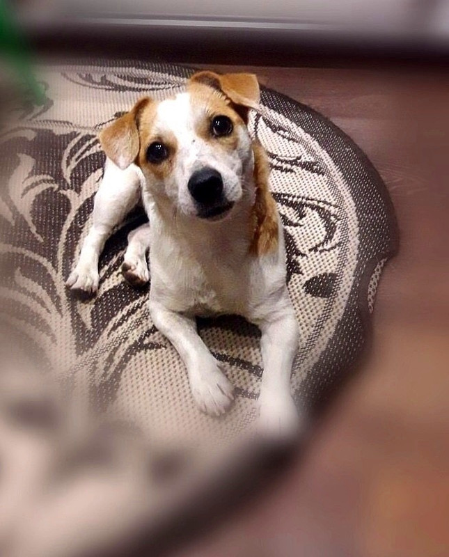 70F665E5-77B8-421B-B460-5D6DF058A931