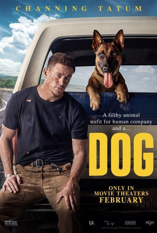Dog-Un-viaje-salvaje-cartel-poster-cover.jpg