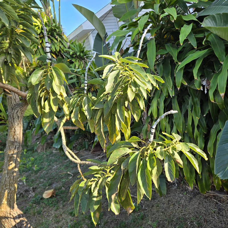 Messenger creation EC969230 C52C 4090 AE98 C58E163026E3