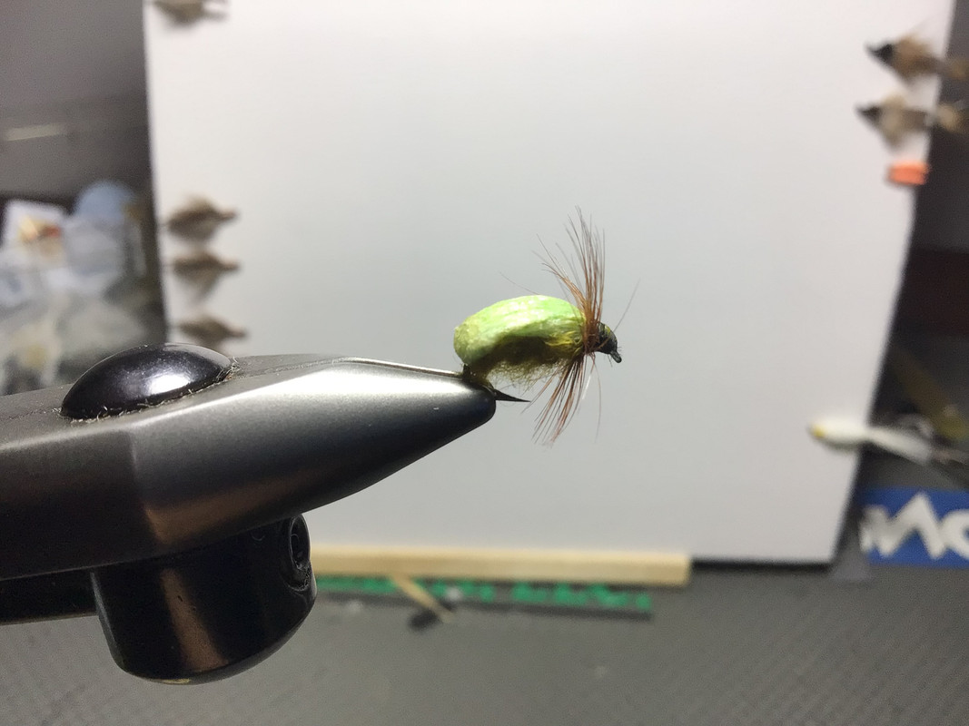 410D6BAA-438D-4C2D-A185-CD52C9CC7FA0