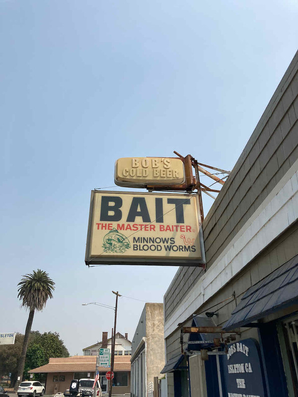 Datsun Day Two - So Stupid it's funny