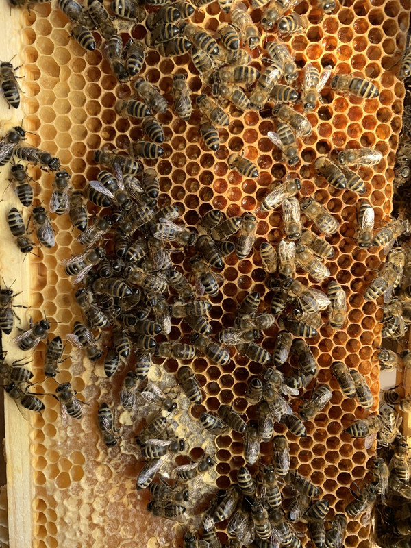 FD2D41D8-F503-46CF-A8DE-E5585AE900B2