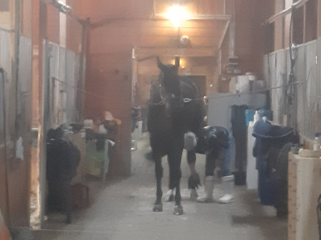 WhatsApp Image 2021-03-05 at 12.14.52 (2)