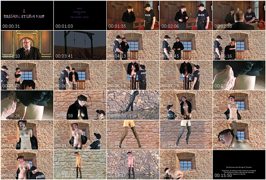 slsv_2956.wmv