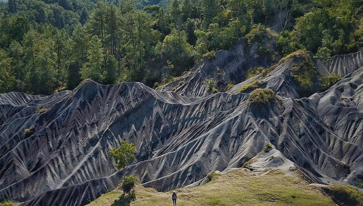 Gumuk Pasir Sumalu: Keajaiban Gurun Pasir di Tengah Pegunungan Toraja