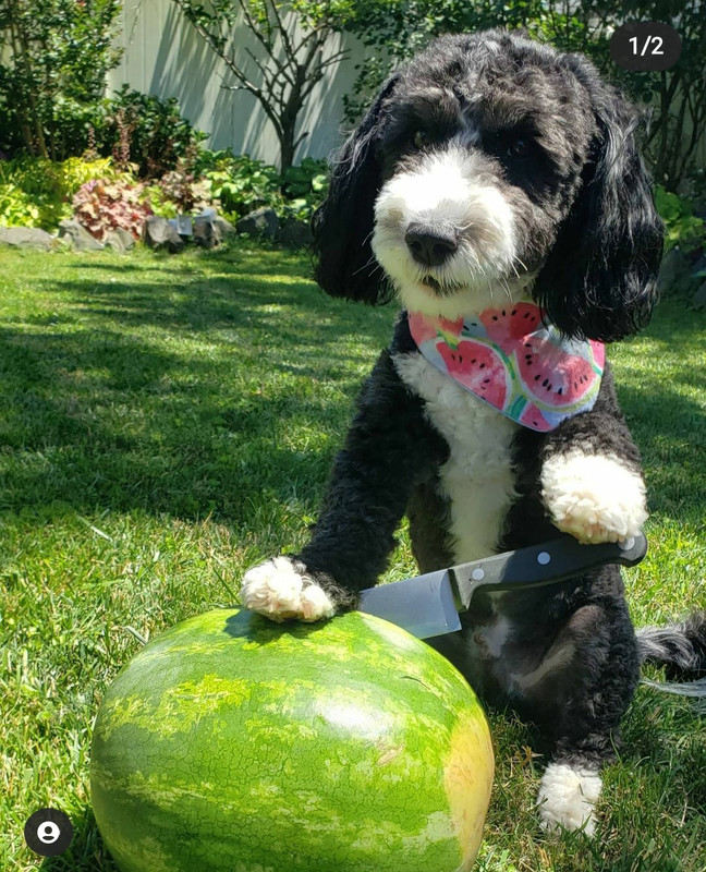 20210713_191310