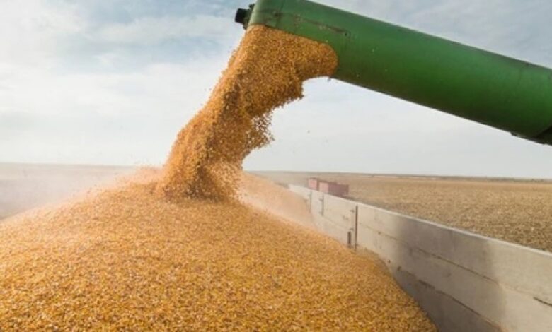 Barco extranjero logra sacar carga de granos y cereales ucranianos