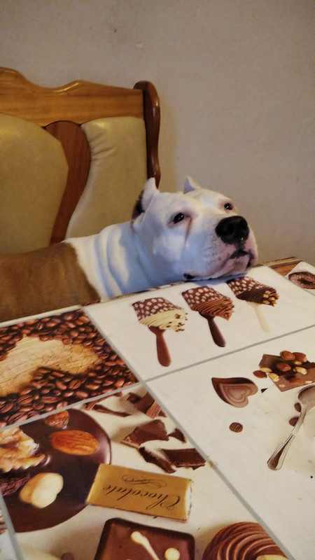 E52FC3DC-91BF-4164-9625-3814DA680076