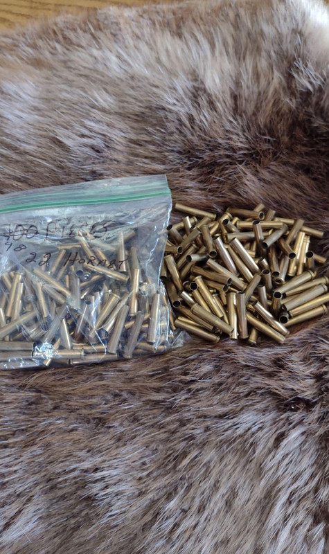 22 Hornet