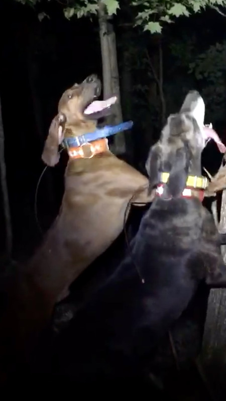 8E482893-7B76-4886-88A6-3CCF1E3D1D9E