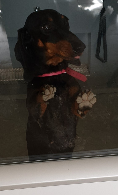 [Image: 20210219-123618.jpg]