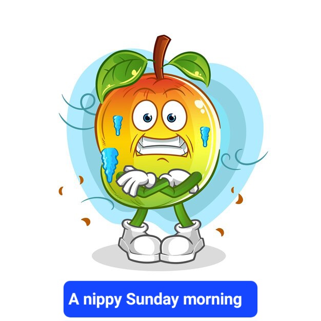 mango-cold-illustration-character-vector_193274-23052