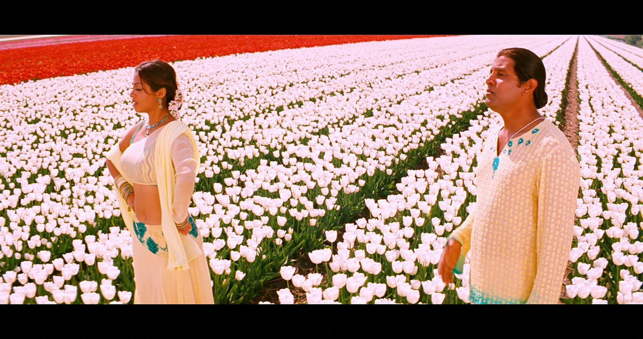 VideoCapture_20241122-195627