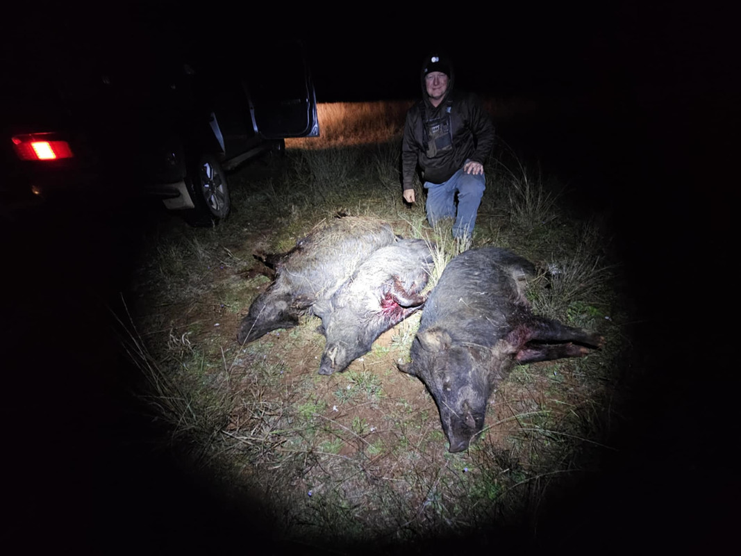 Messenger_creation_BB7BE57E-3B6E-418C-B2B0-61DE533959E1