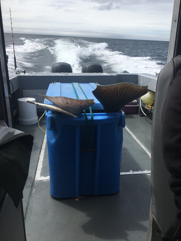 0EE1A3D1-9636-4B62-8F71-51B9C303BE39