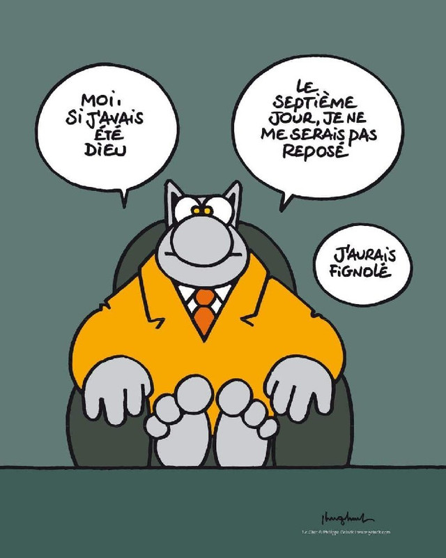 [MARDI] - Le Chat - Page 31 2022-10-11-lc-01