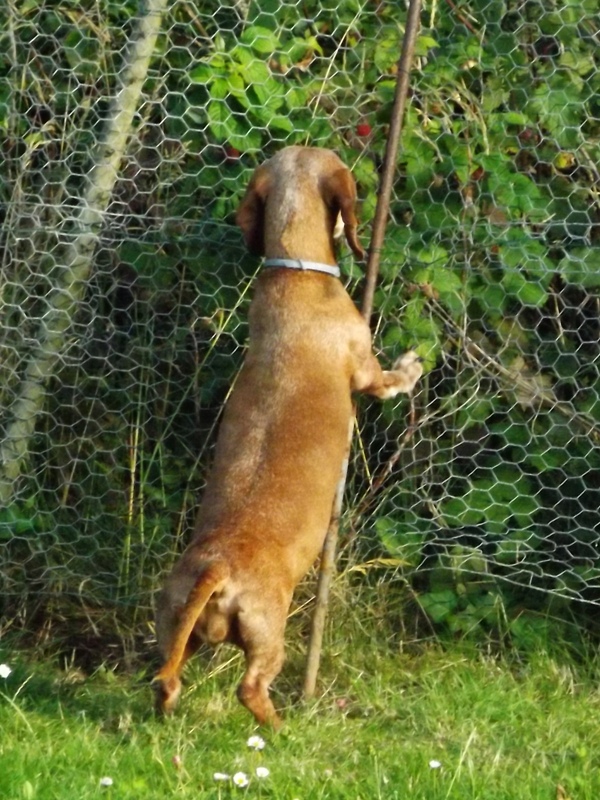 [Image: DSCF5001.jpg]