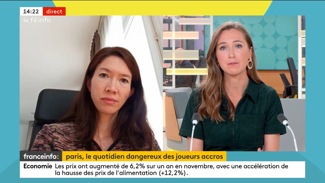 Le fil info 14h 2022_11_30_12_59_00.ts_snapshot_26.26.484