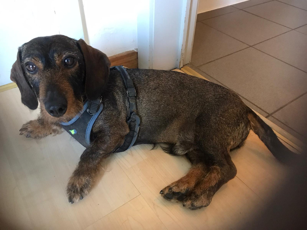 [Image: IMG-20240225-WA0012.jpg]