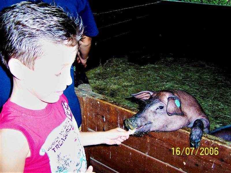 Paseando por España-1991/2024 - Blogs of Spain - ZOO DE MADRID-1992/2001/2006/2007-MADRID (15)