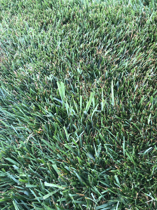 58EFA82B-6B83-48EC-B0CE-CF65F489A54A