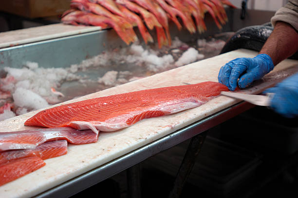 fish processing
