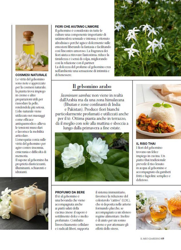 il mio Giar Apr Mag 2026 (10)