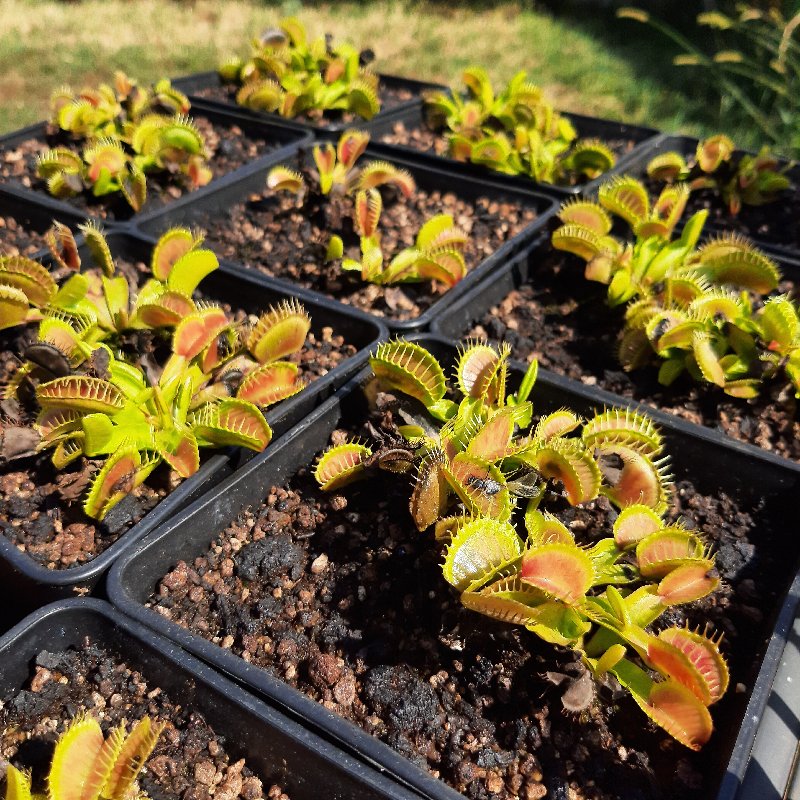 IMG_20190906_120350_875