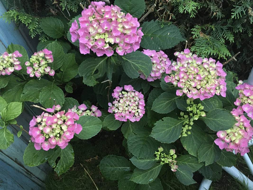 AC3ECA3B-56D3-431E-9139-5FE90B80C218