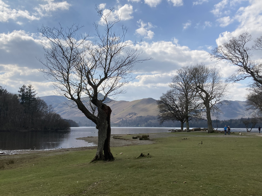 704FAEC5-3029-4AEA-A8E5-5001C73CFA51