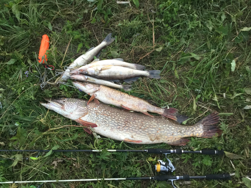 22 1 unsel Сергей Беликов (2)