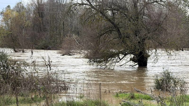 κοζάνη, ειδήσεις, νέα, Πτολεμαΐδα