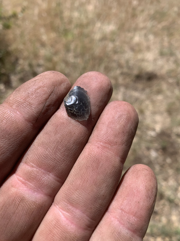 19C798D1-CD4B-4760-96AD-AA859274CE65