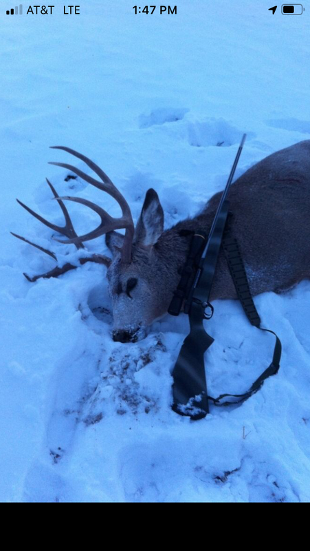 5C9F83EC-4F02-4D33-AC00-78027A357511