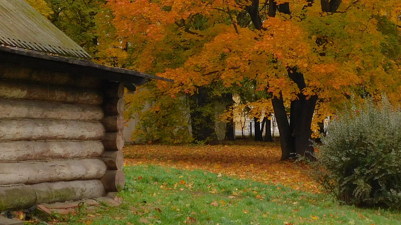 Коломенское с Евлампией ноябрь 2023 067