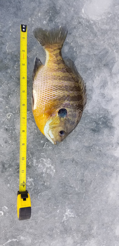 20191228_145012