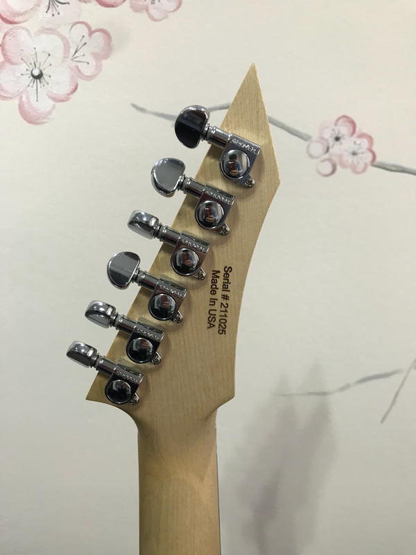 IMG_2139-27-08-18-10-56