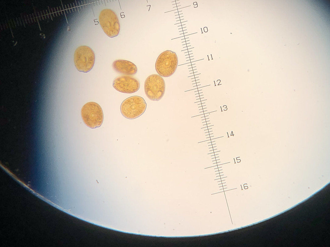 733642CC-78D6-4F46-A735-DB825775FE2A