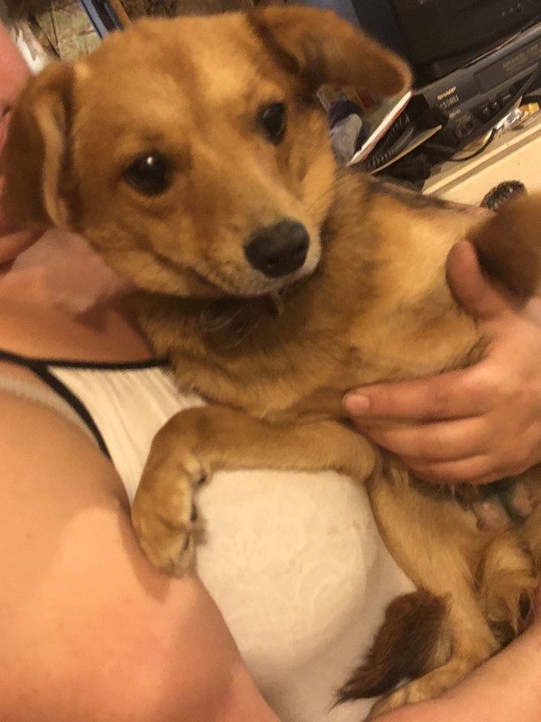 A8BBDE2F-C309-4A2F-94EF-5200489B902A